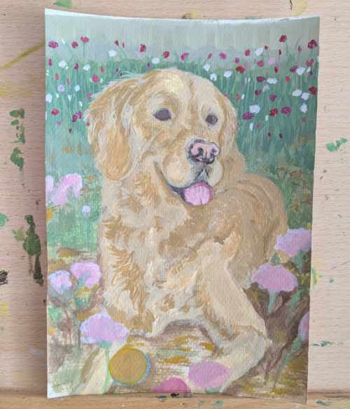 Base colours blocked in for a dog portrait painting