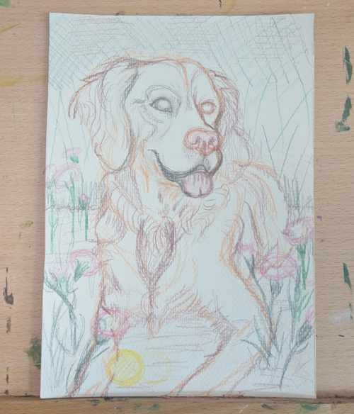 Pencil sketch planning the composition for a dog portrait